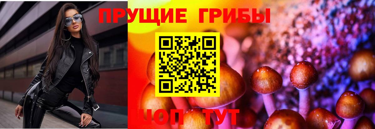 Галлюциногенные грибы мухоморы Борисоглебск